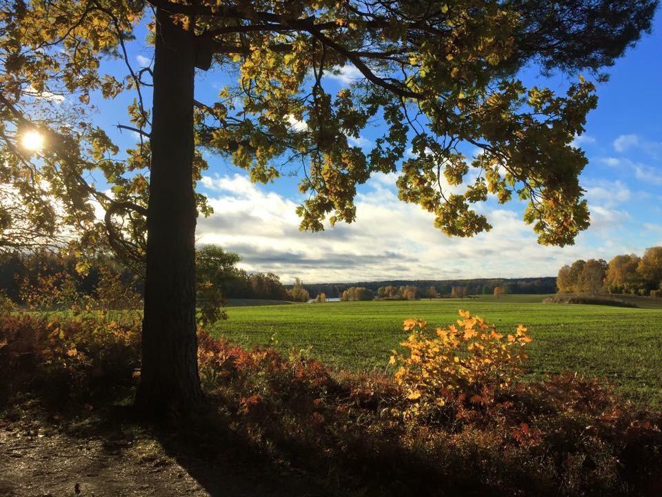 Stora Djuloe Vandrarhem Katrineholm Kültér fotó